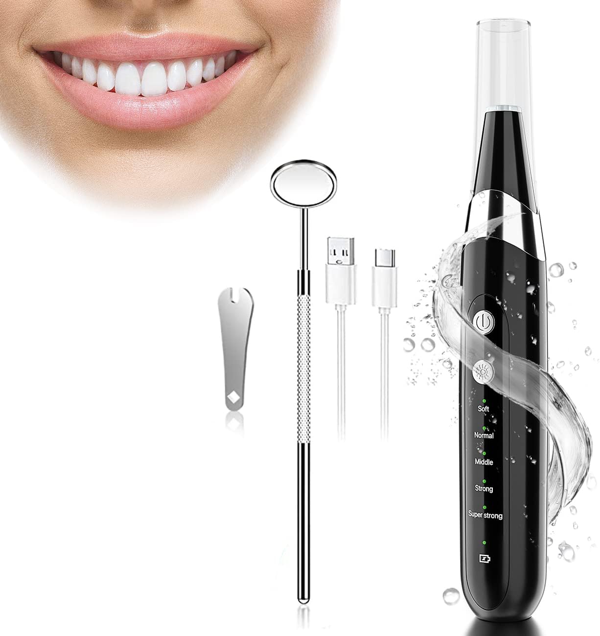 PR400 Plaque Remover