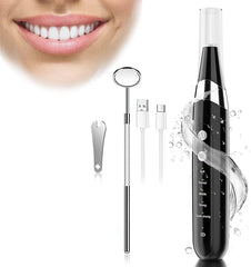 PR400 Plaque Remover